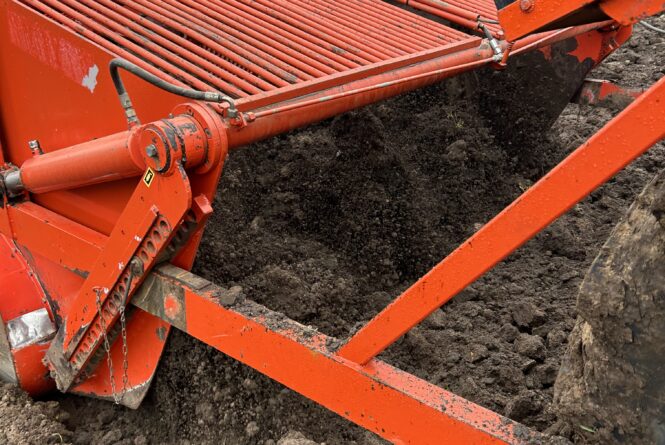 Verzorging en onderhoud van de grond